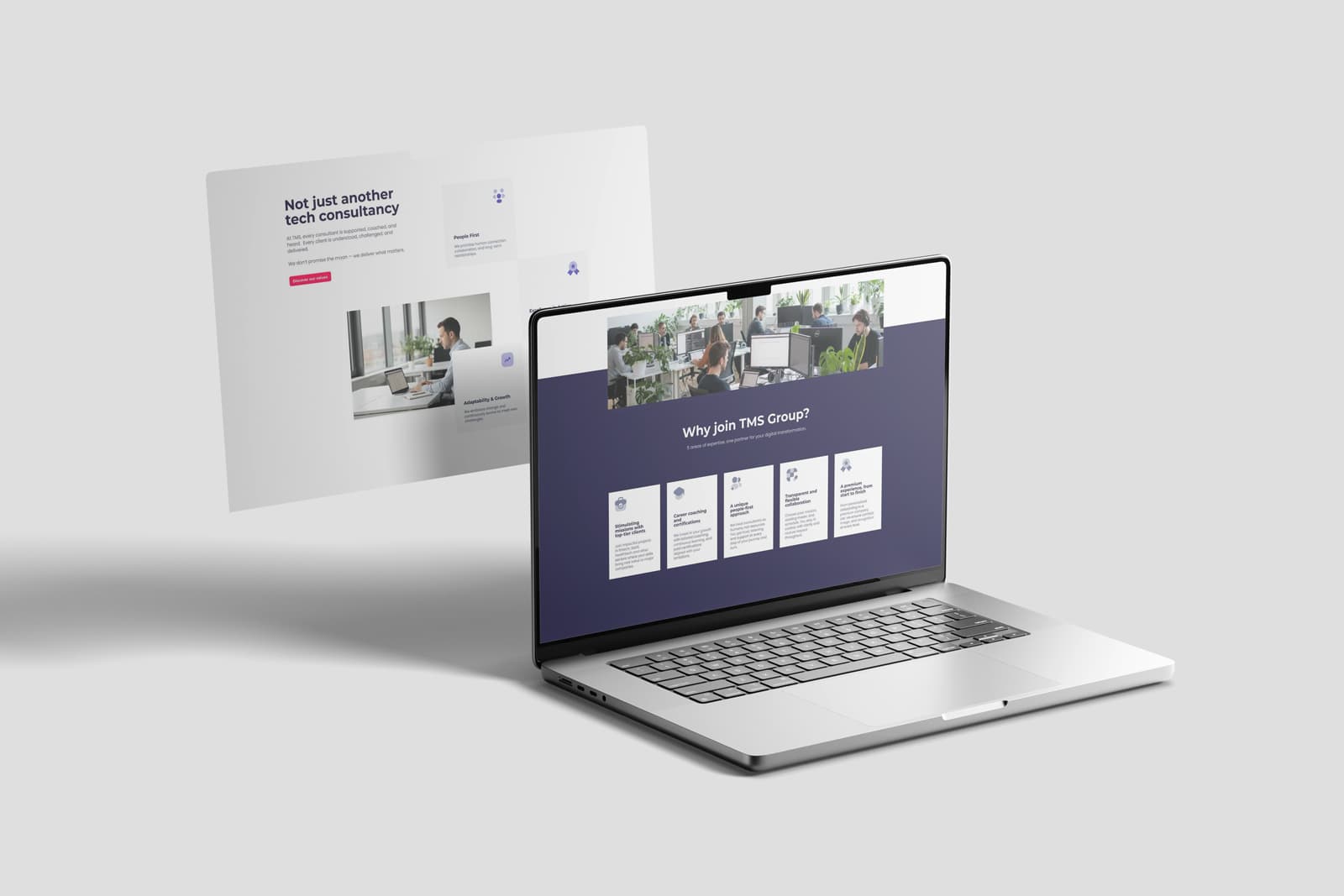 TMS Group Website project detail