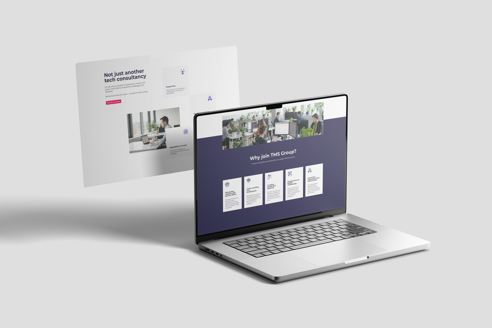 TMS Group Website project detail